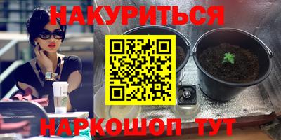 альфа пвп Обь