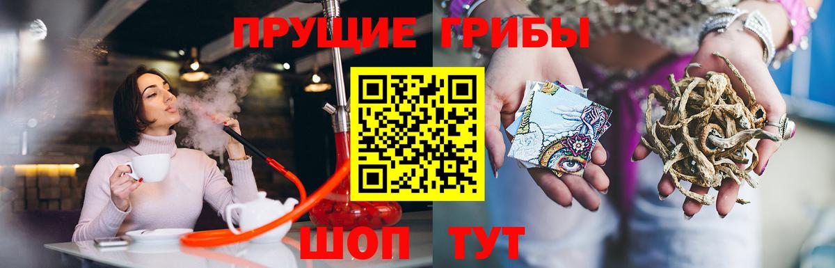 Галлюциногенные грибы GOLDEN TEACHER  Вход с VPN  Псилоцибиновые грибы Psilocybe  Спасск-Дальний 